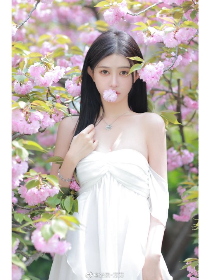 肖申克的救赎 封面